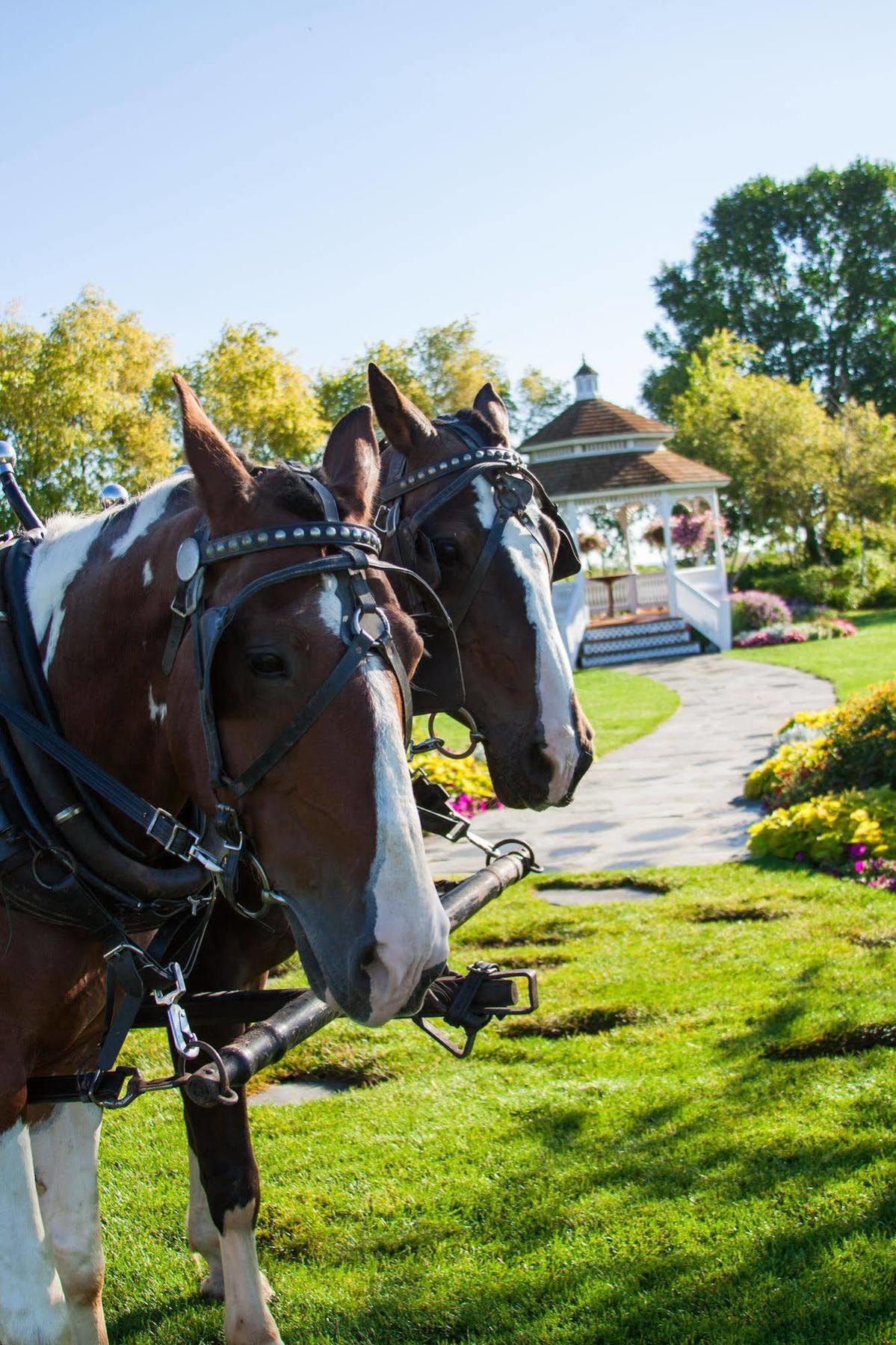 Mission Point Resort Mackinac Island Εξωτερικό φωτογραφία